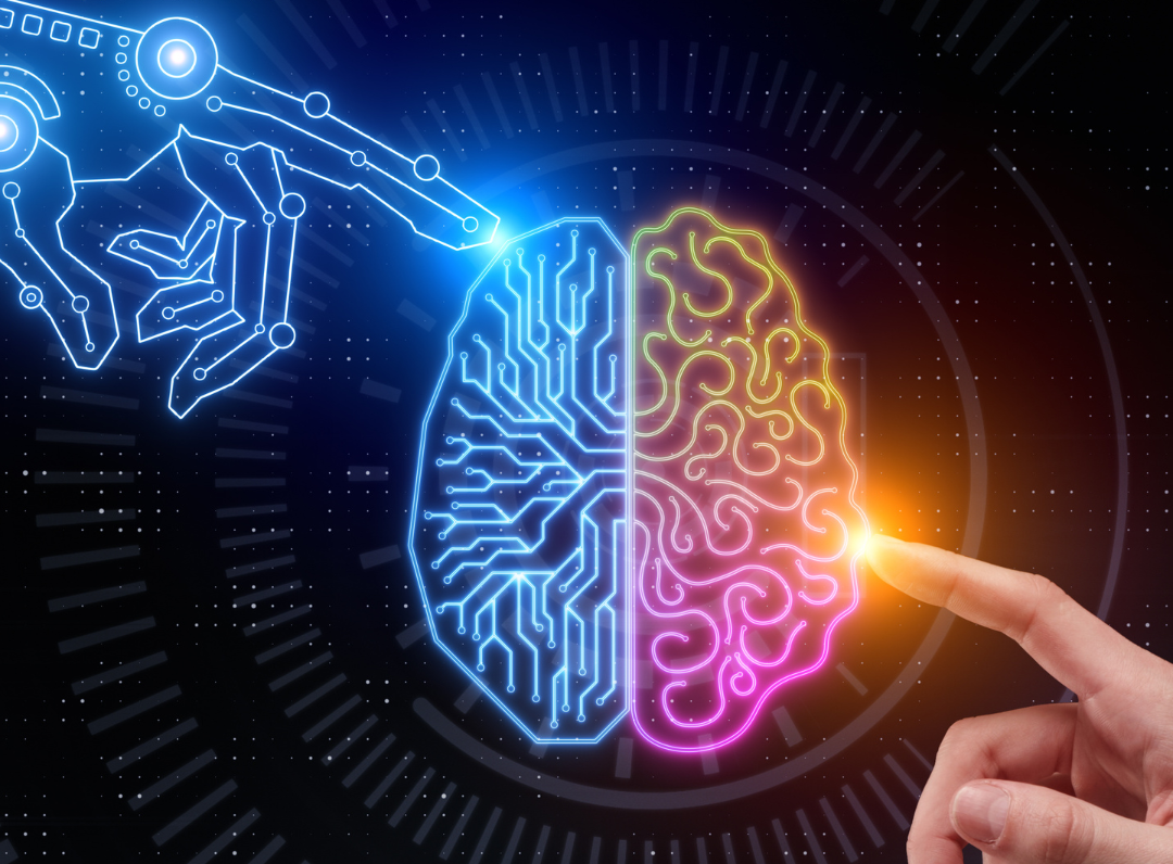 TDAH e a Técnica de Neurofeedback
