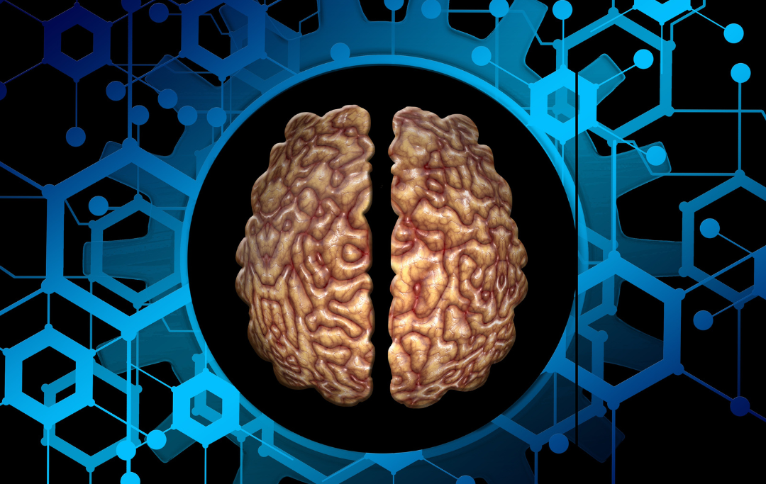 Aplicações Clínicas da Neuromodulação Somatossensorial no Tratamento de Transtornos Motores
