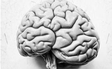 Faxina Cerebral Durante o Sono: O Papel do Sistema Glinfático e as Contribuições do Neurofeedback