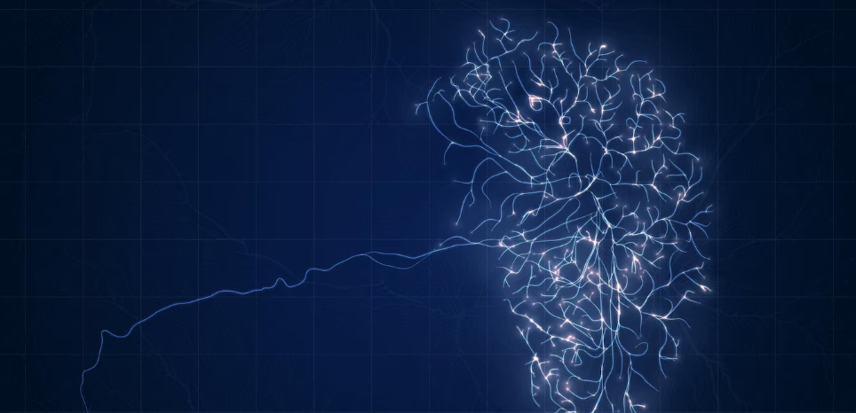 A importância da combinação de terapias