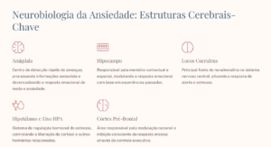Neurobiologia da Ansiedade: Estruturas Cerebrais-Chave